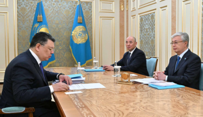 Мемлекет басшысы Премьер-министрдің орынбасарын қабылдады