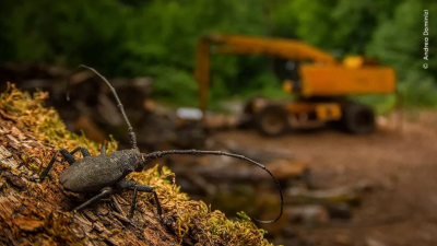 Табиғат не боп барады?