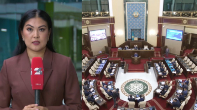 Қазақстан мен Армения 90 күнге визасыз режим енгізді