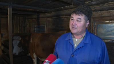 Ақмола облысында 100-ден астам мал дәрігері қажет