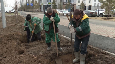 «Таза Қазақстан»: 1 млн гектар жер тазартылды