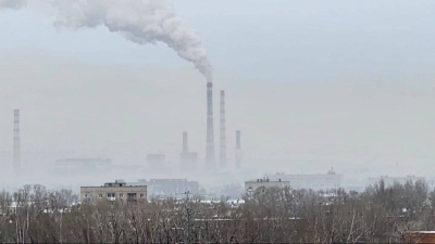 Өскемен халқы улануда: балаларды қашықтан оқыту мәселесі қайта көтерілді