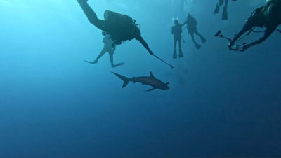 &laquo;Ашық теңіз&raquo; туралы шарт ресми түрде күшіне енеді