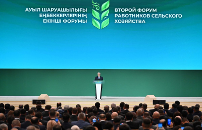 Президент жайылымдық жерлердің нақты кімдерге берілуі тиіс екенін айтты