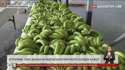 Түркістан облысындағы кәсіпкерлерге қолдау қажет