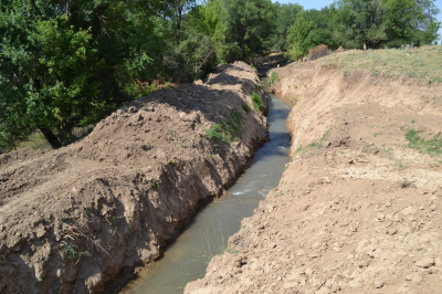 Қазақтардағы арық ақсақалы