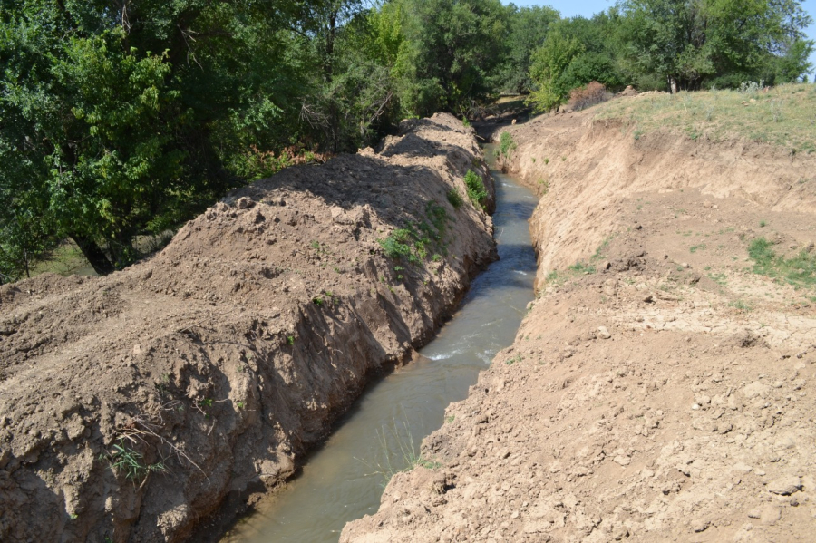 Қазақтардағы арық ақсақалы