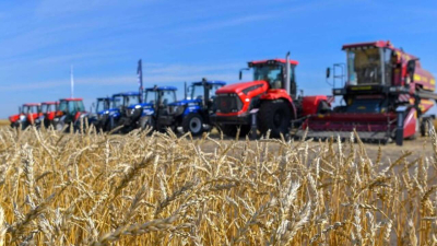 Ауыл шаруашылығы министрі сиыр еті экспортына неліктен квота енгізілгенін түсіндірді