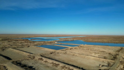 Қызылорда облысында Басықара балық тоғаны жаңғыртылды