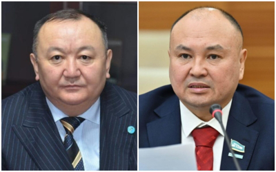 Пәкістандағы қазақтарды көшіріп алудың екі жолы бар...