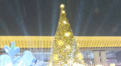 Алматыда жаңа жылдық шырша шамы жағылды