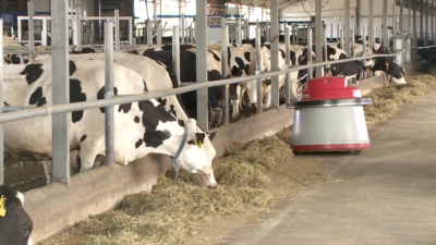 Агроөнеркәсіп саласында айтарлықтай өсім бар