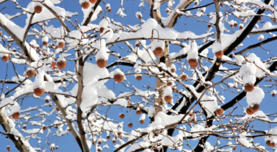 Қар, аяз бен үсік: 21 желтоқсанда ауа райы қандай болады?