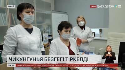 Ресейде чикунгунья безгегі тіркелді