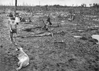 "Экоцид" жаңа геноцид па? Лауазымды тұлғалар қылмыстық жауапкершілікке қашан тартылады?