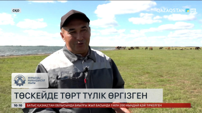 Еңбек адамы: Азамат Асқарбеков 20 жылдан астам мал шаруашылығымен айналысады