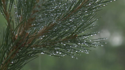 Еліміздің солтүстігінде көктайғақ болып, өңірлерді тұман қаптайды