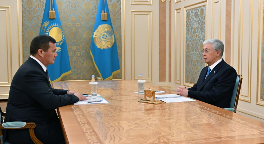 Президент Нұрлыбек Нәлібаевқа отандық тауар өндірушілерді қолдауды тапсырды