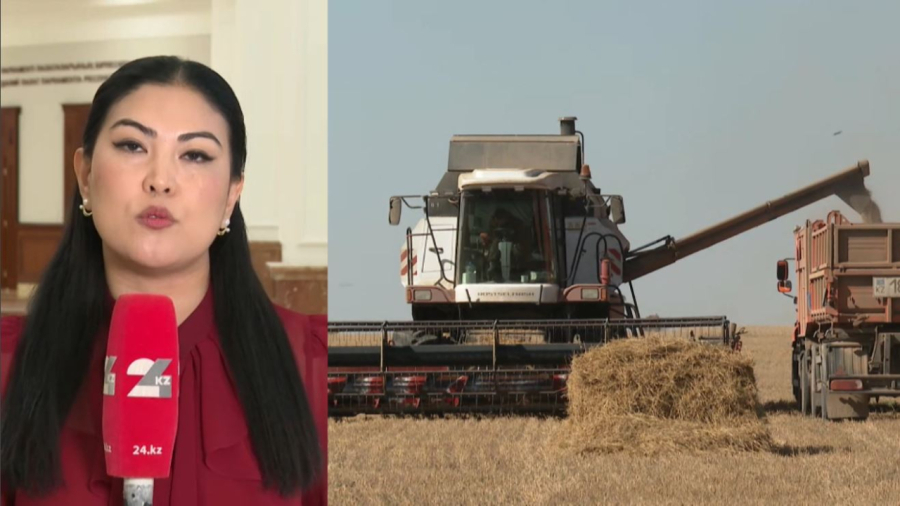 Елімізде астық жинау аяқталды