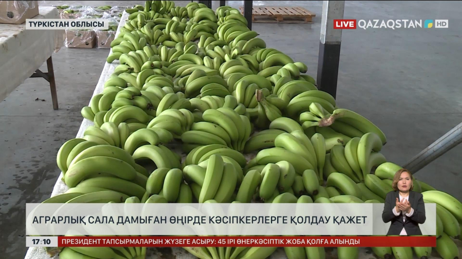 Түркістан облысындағы кәсіпкерлерге қолдау қажет