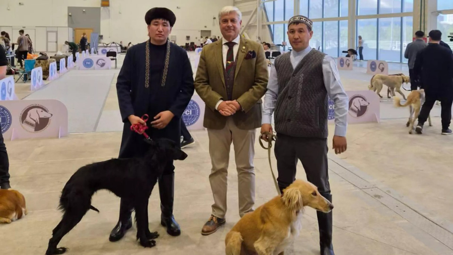 Астанада қазақ тазысына арналған көрме өтті