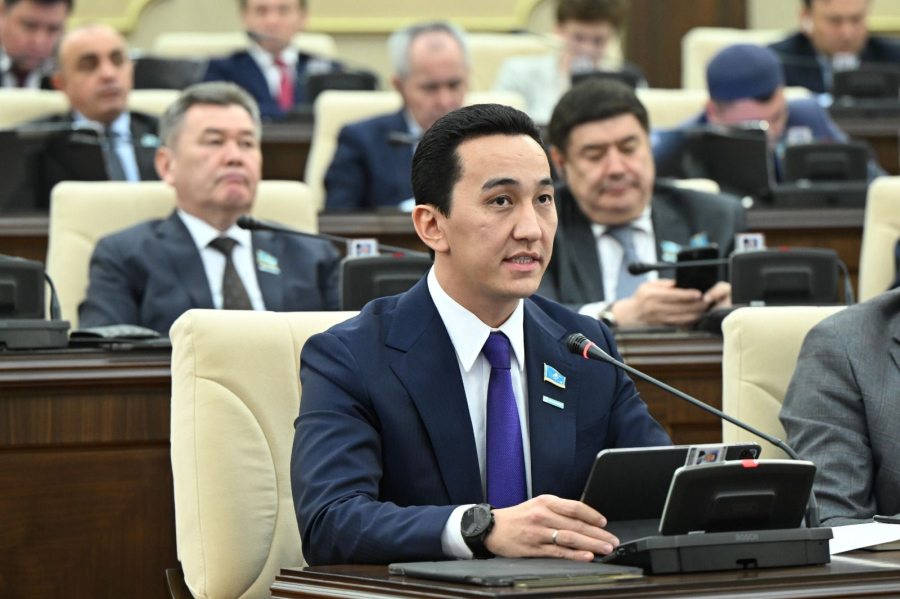 Президент Жолдауы тұрақты экономикалық өсімге серпін береді - депутат