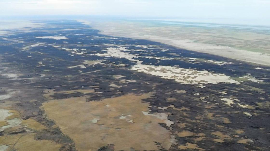 "Ақжайық" резерватының аумағындағы өрт толықтай сөндірілді (фото)