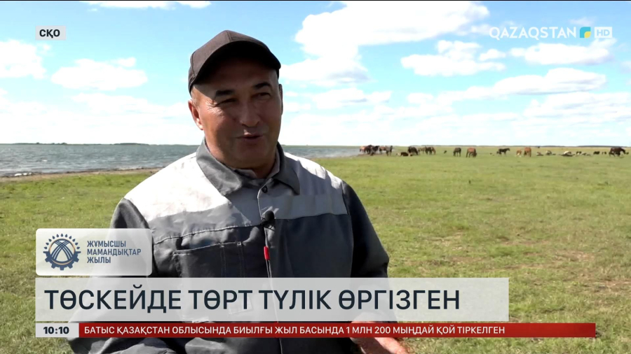Еңбек адамы: Азамат Асқарбеков 20 жылдан астам мал шаруашылығымен айналысады