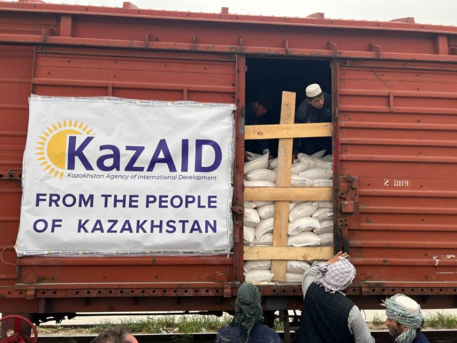 Қазақстан 5 жылда шетелге 17,4 млрд теңгелік гуманитарлық көмек жіберді